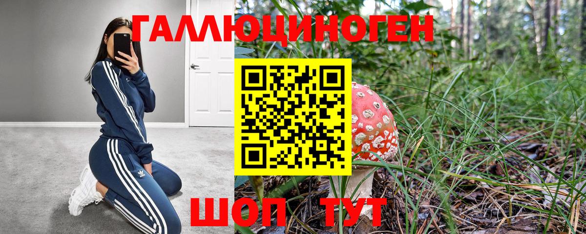 Псилоцибиновые грибы Magic Shrooms Красноармейск